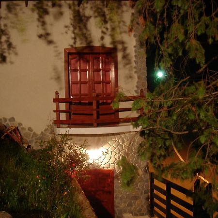 Rem'S Pension Rîşnov Exteriör bild