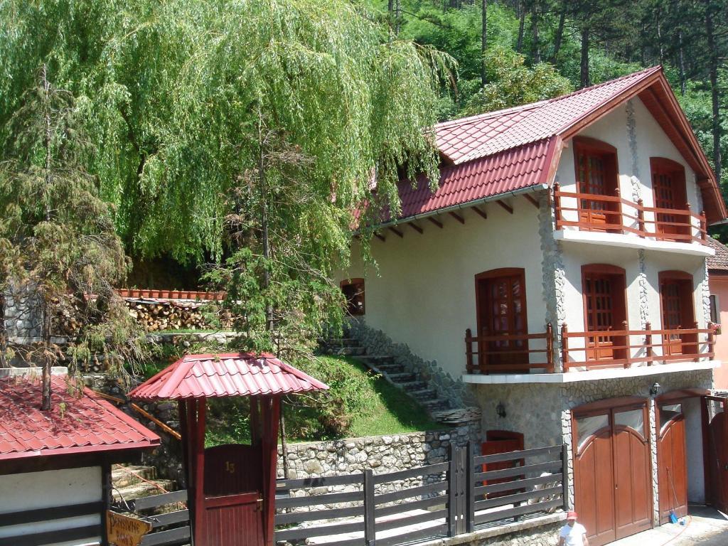 Rem'S Pension Rîşnov Exteriör bild