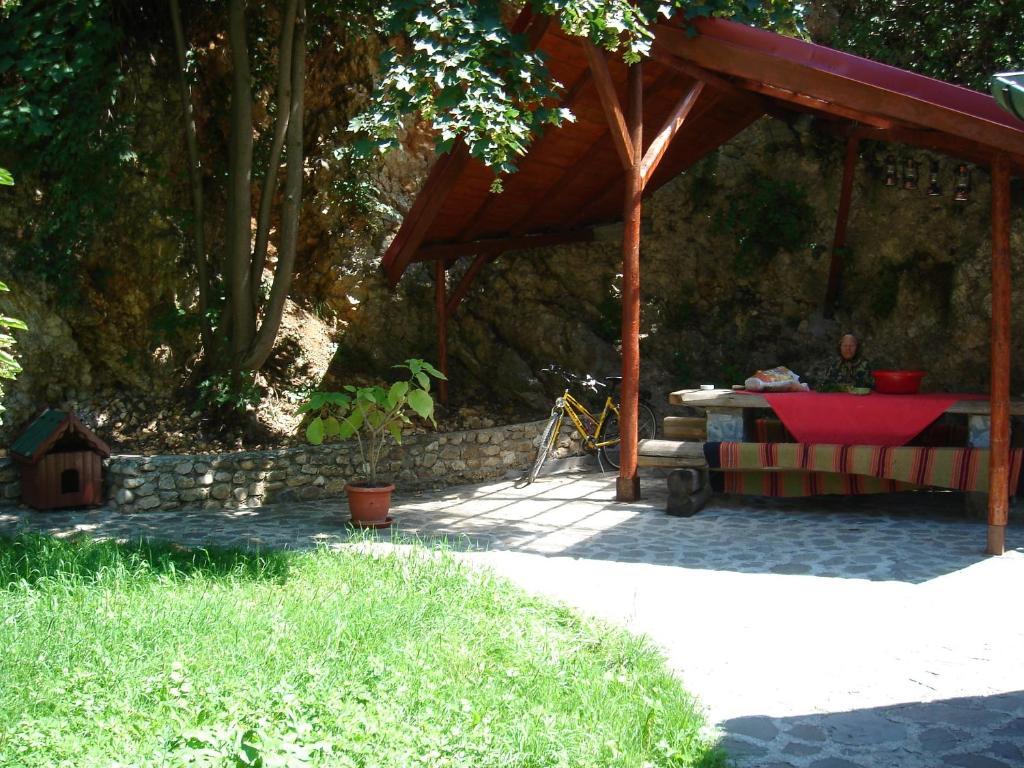 Rem'S Pension Rîşnov Exteriör bild