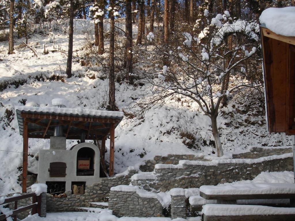 Rem'S Pension Rîşnov Exteriör bild