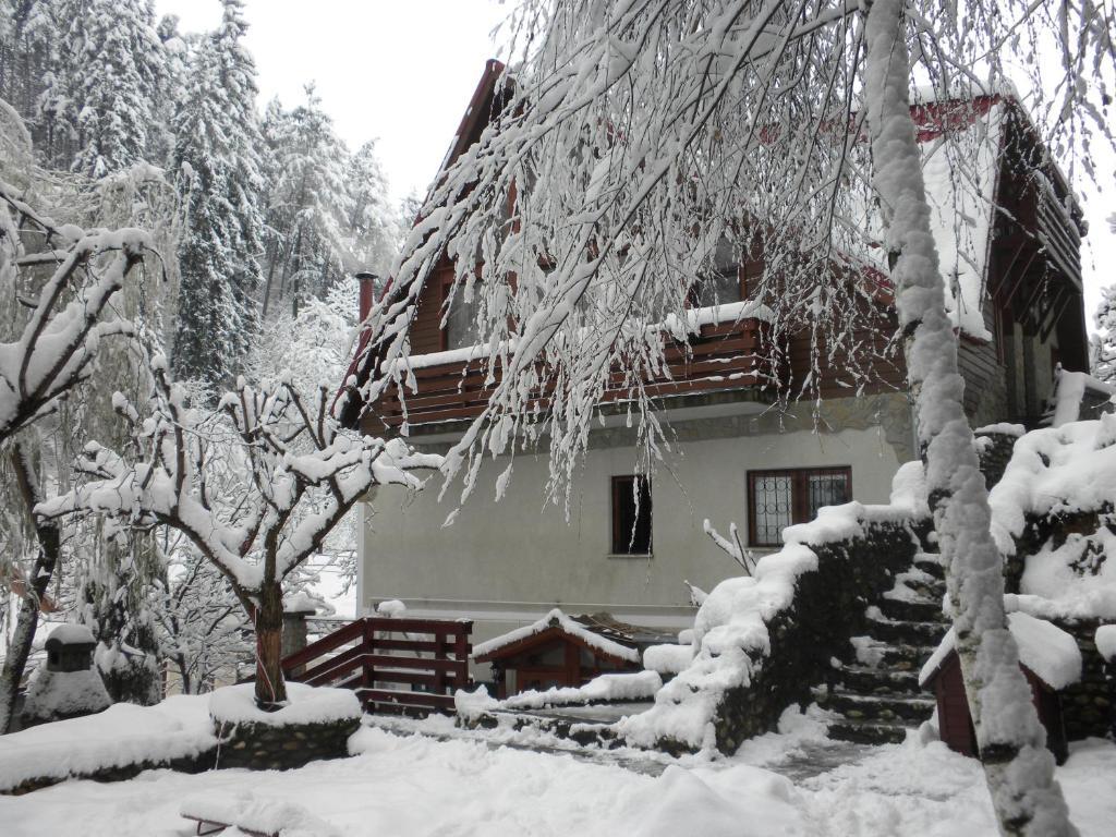 Rem'S Pension Rîşnov Exteriör bild
