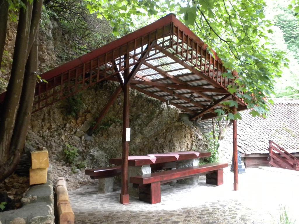Rem'S Pension Rîşnov Exteriör bild
