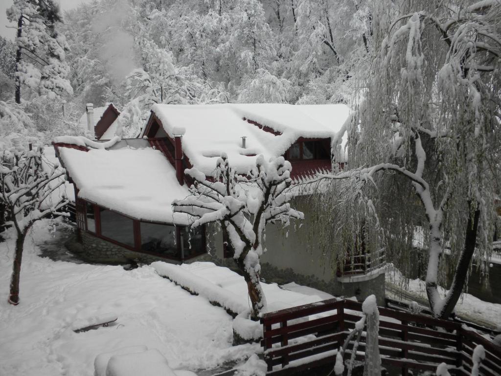 Rem'S Pension Rîşnov Exteriör bild